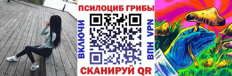 где можно купить наркотик  Лагань  Псилоцибиновые грибы мухоморы 